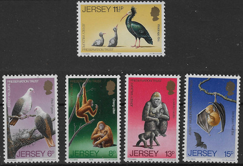 Jersey 1979 sg217 - jersey,