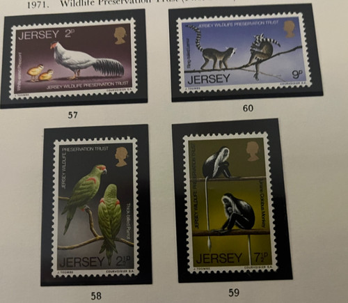 D931 jersey independent post - d931:,