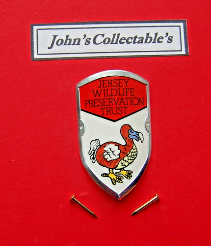 Jersey wildlife preservation - wildlife,