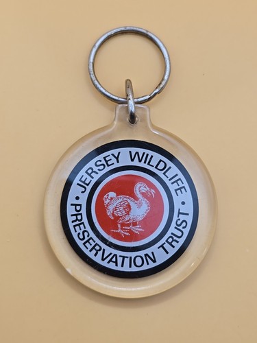 Keyring key ring vintage - keyring,