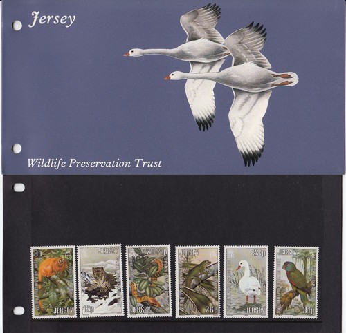 Jersey presentation pack 1984 - jersey,