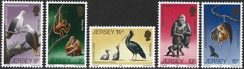 1979 jersey 217 221 - 1979,