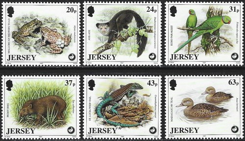 1997 jersey 824 829 - jersey, sg