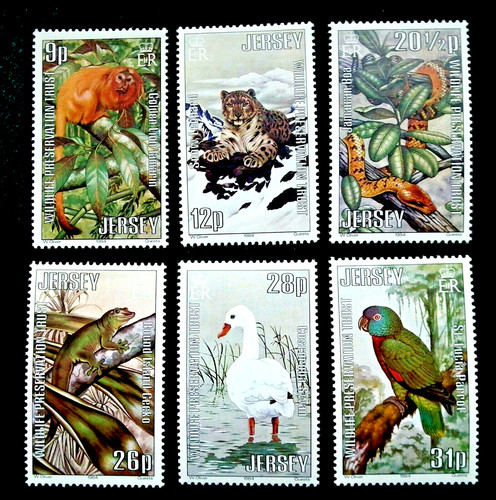Jersey 1984 wildlife - 1984,