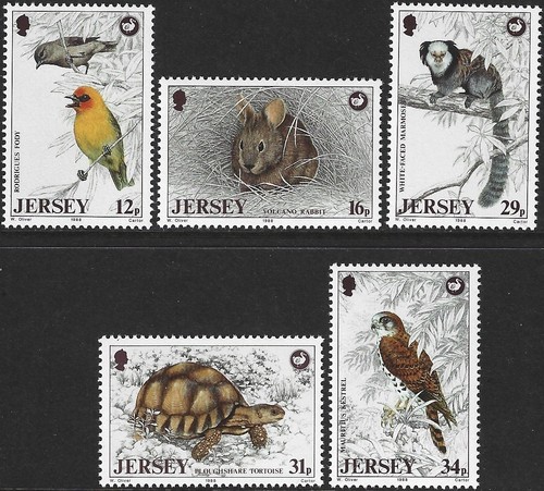 1988 jersey 447 - jersey, 447/451