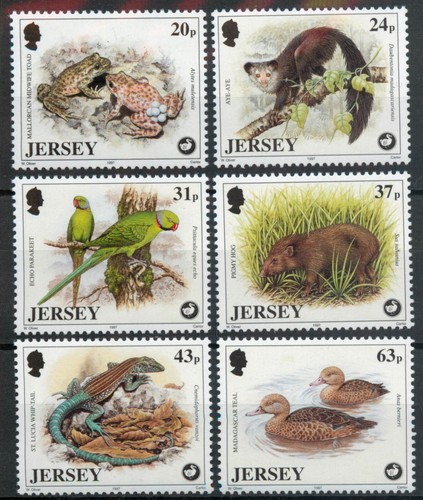 Jersey 1997 wildlife - jersey,