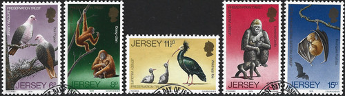 1979 jersey 217 221 - jersey, sg