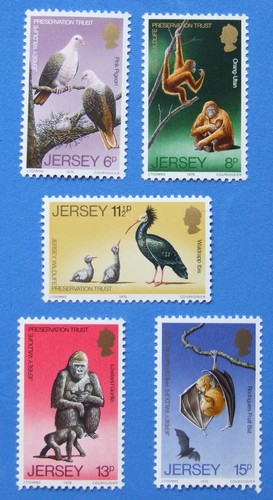Jersey wildlife preservation - jersey,