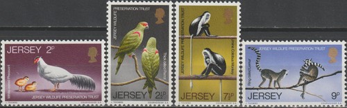 Jersey wildlife preservation - wildlife,