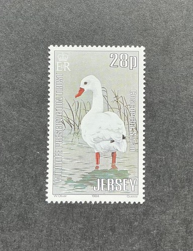 Jersey 1984 mnh wildlife - jersey,