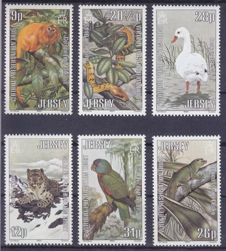 Jersey mnh umm - umm, 1984