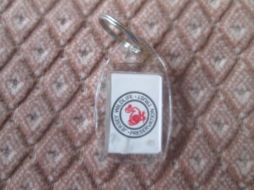 Key fob jersey - key,
