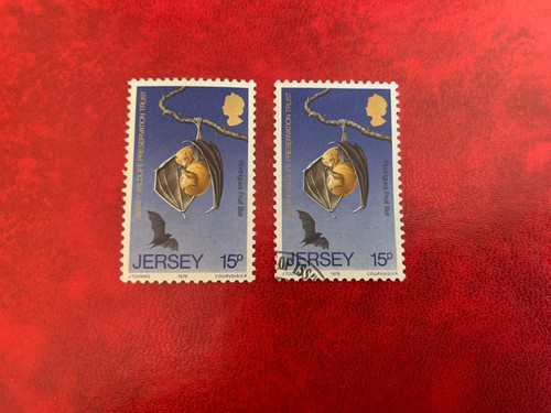 Jersey 1979 used - 1979, &